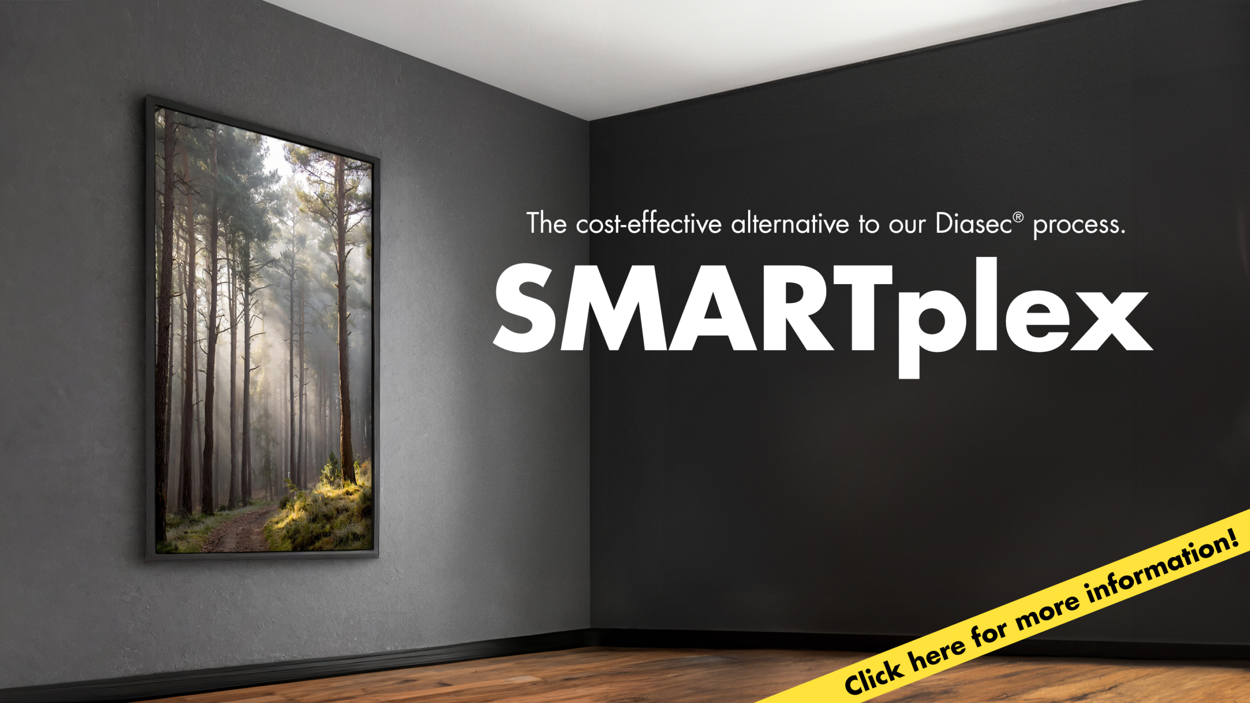 SMARTplex_startseite_16-9 2 HP_englisch